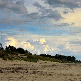 Балтийские дюны, янтарный берег