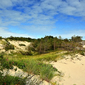 Frische Nehrung (Балтийская Коса), дюны