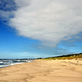 Балтийский берег, янтарный пляж...