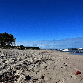 Frische Nehrung (Балтийская Коса), янтарный пляж.